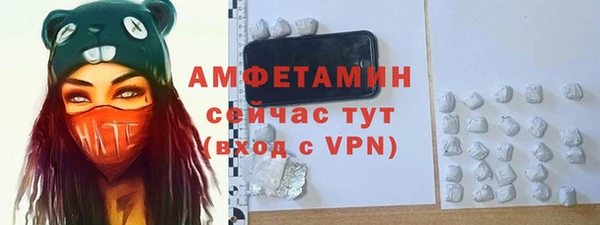 твердый Абаза