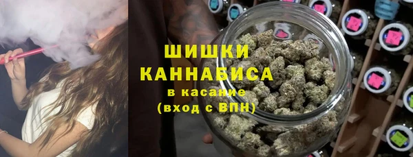 твердый Абаза