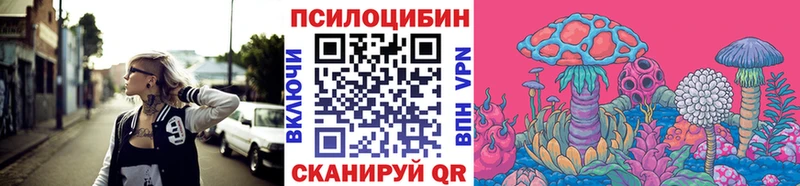 omg ссылка  Тутаев  Псилоцибиновые грибы Cubensis 